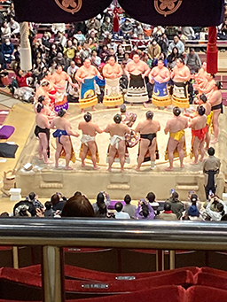 迫力満点の力士たち