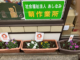 萌作業所入口の花壇